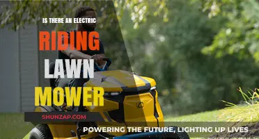Best Electric Riding Lawn Mower Options