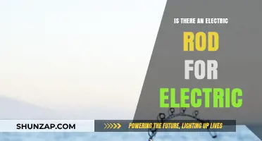 Electric Rods: The Future of Eco-Friendly Pest Control