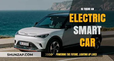 Exploring Electric Smart Cars: Are They the Future of Urban Mobility?