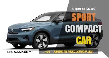 Electric Sport Compact Cars: Are They a Reality Yet?