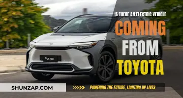 Toyota's Electric Vehicle Plans: What's the Future Hold?