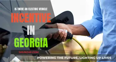 Electric Vehicle Incentives: Are Georgians Eligible for Benefits?