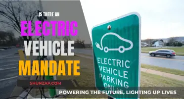 The Future of Driving: Electric Vehicle Mandates Explained