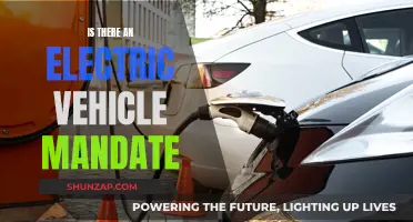 Electric Vehicle Mandate: The Future of Driving?