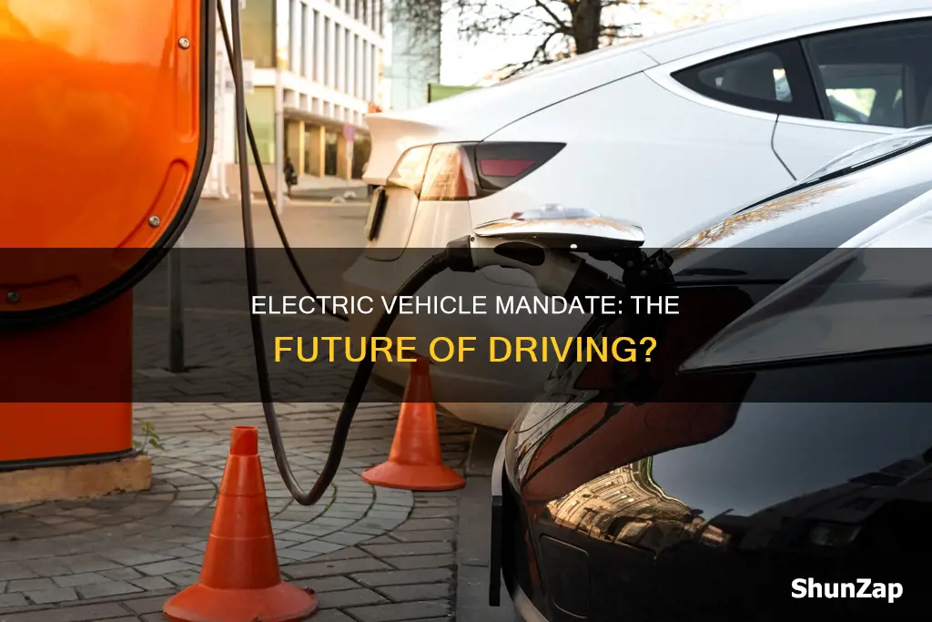 is there an electric vehicle mandate