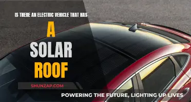 Solar-Powered Revolution: Electric Vehicles with Solar Roofs