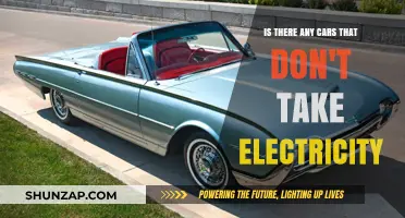 Exploring Non-Electric Vehicles: Are There Cars Without Electricity?