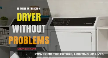 Electric Dryers: Problem-Free or Problematic?
