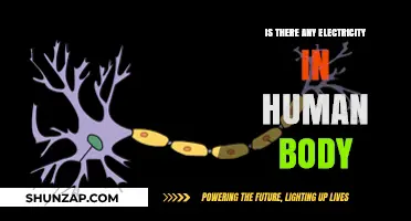 Electric Humans: The Body's Natural Spark