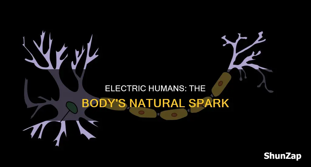 is there any electricity in human body