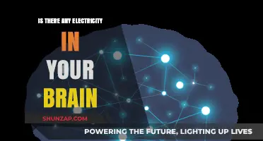 Brain Electricity: Powering Your Mind