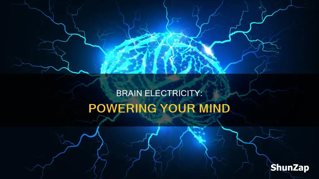 is there any electricity in your brain
