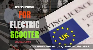 Electric Scooter Laws: Do You Need a License?