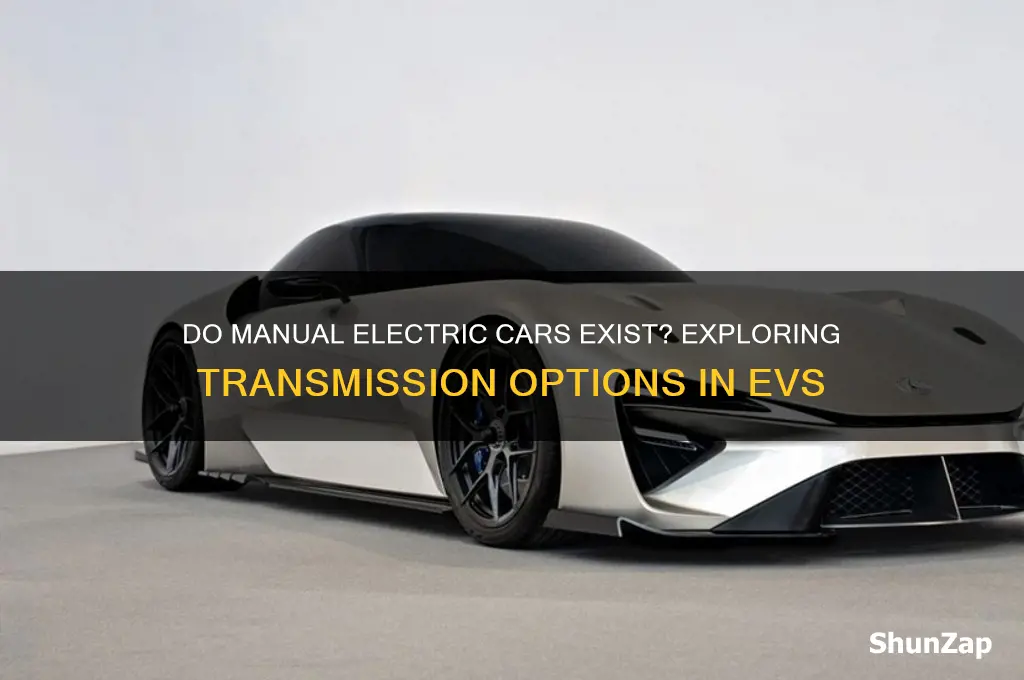 is there any manual electric cars