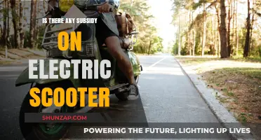 Electric Scooters: Government Subsidies and Their Impact