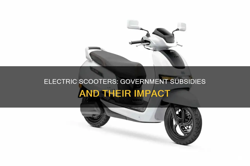 is there any subsidy on electric scooter