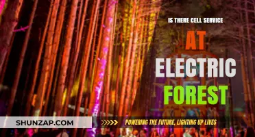 Cell Service Availability at Electric Forest