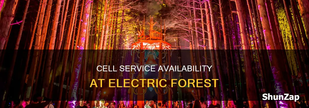 is there cell service at electric forest
