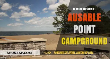 Ausable Point Campground: Electricity Availability and More
