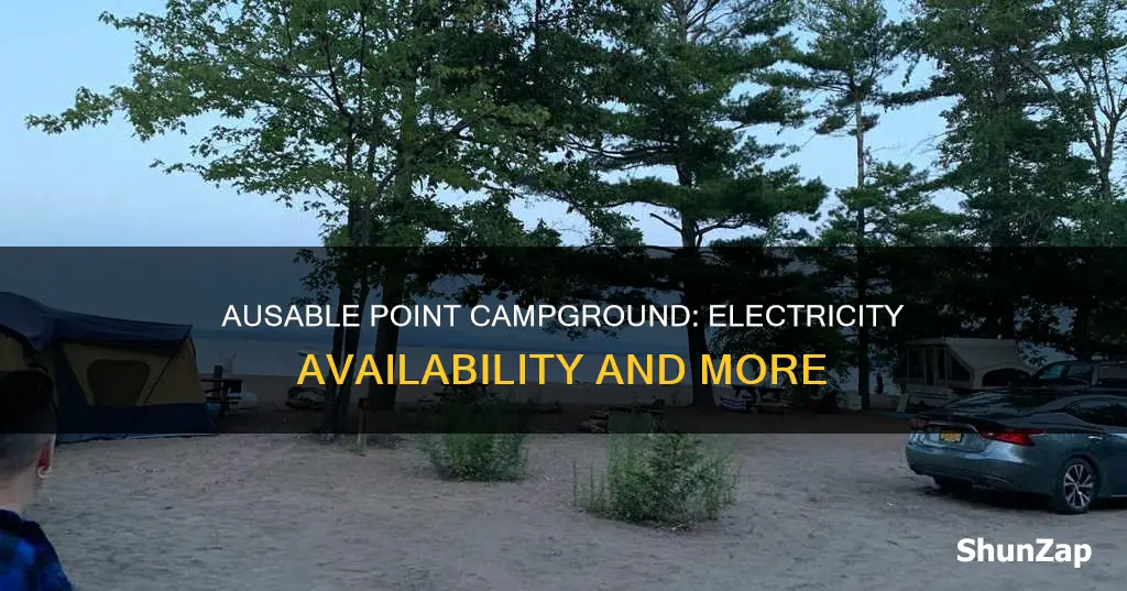 is there electric at ausable point campground