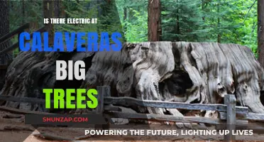 Big Trees, Big Electricity: Powering Calaveras