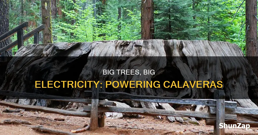 is there electric at calaveras big trees
