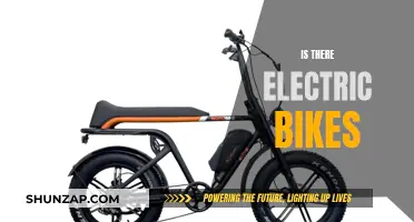 Electric Bikes: The Future of Urban Commuting?