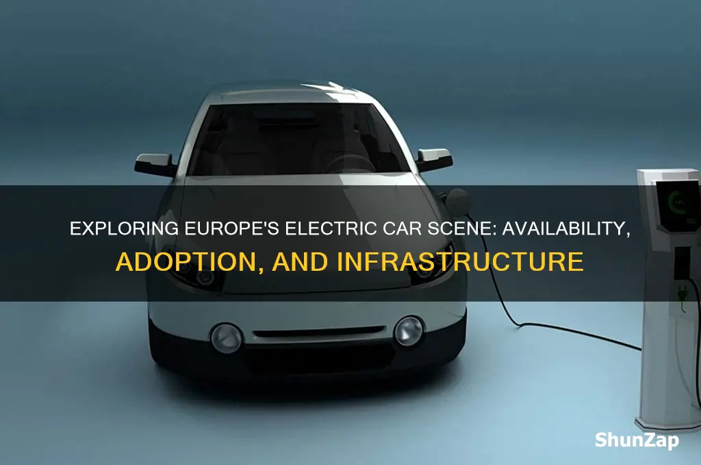 is there electric care in europe