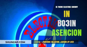 Electric Cherry in BO3: Is It in Ascension?