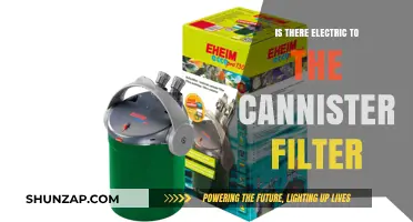 Electric Cannister Filters: Power Source?