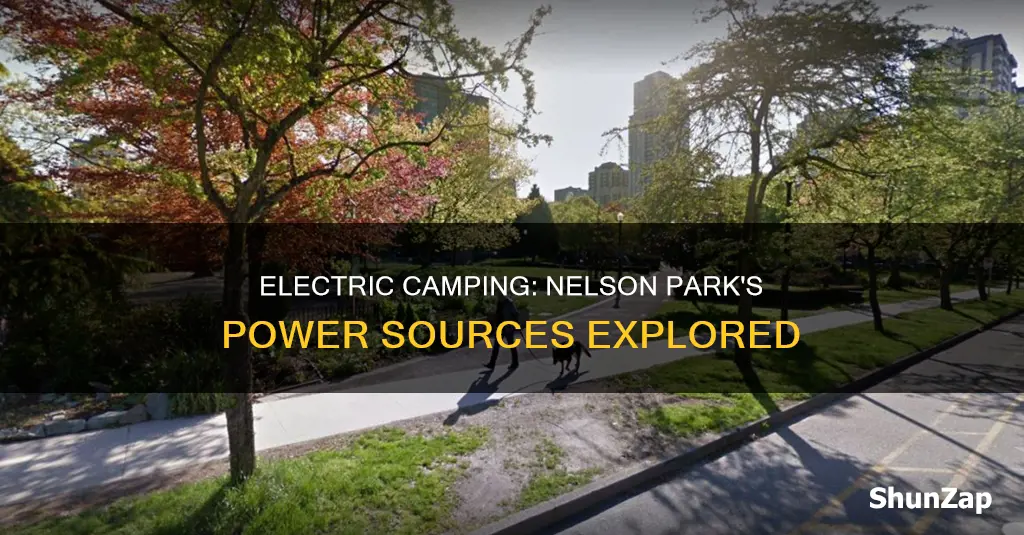 is there electricity at nelson park 48858