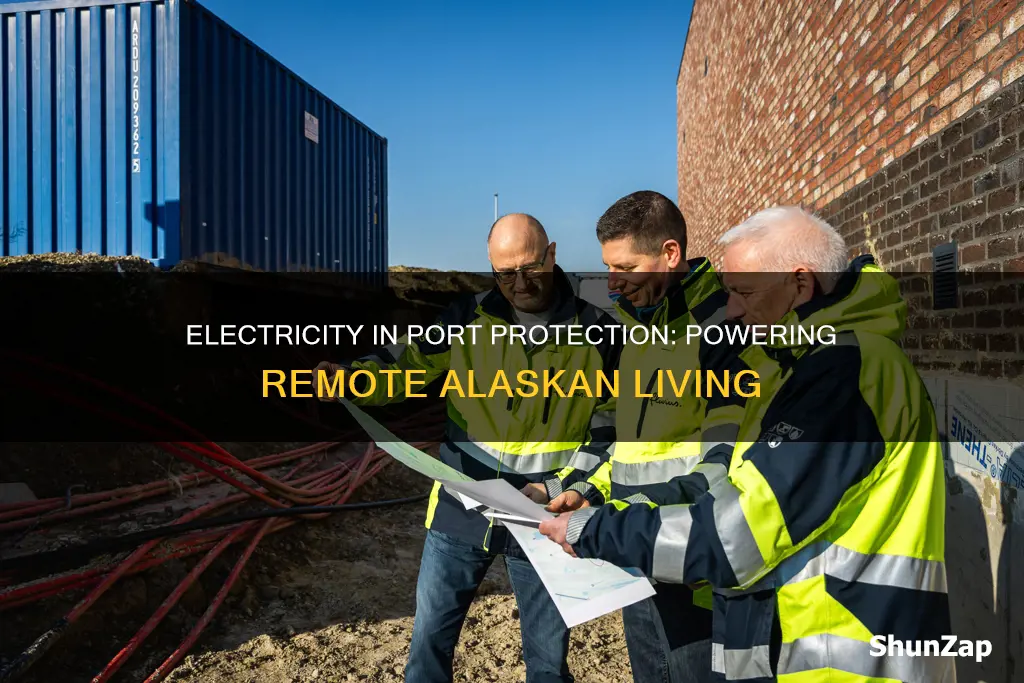 is there electricity in port protection ak
