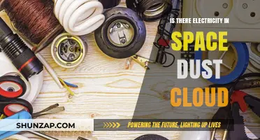 Space Dust Clouds: Electricity or Not?