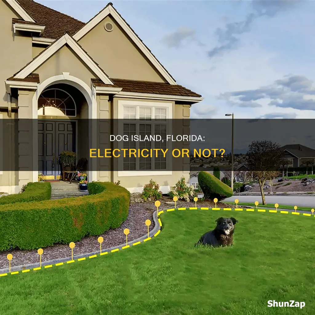 is there electricity on dog island florida