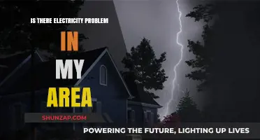 Local Power Outages: What's the Issue?