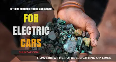 Electric Vehicle Boom: Are Lithium and Cobalt Supplies Sufficient?