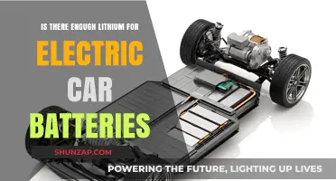 Lithium Supply Crunch: Can It Meet Electric Vehicle Battery Demand?