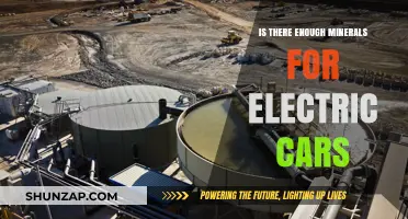 Electric Vehicle Boom: Are Mineral Supplies Sufficient for the Transition?