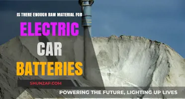 Electric Car Battery Raw Materials: Are Supplies Sufficient for Future Demand?