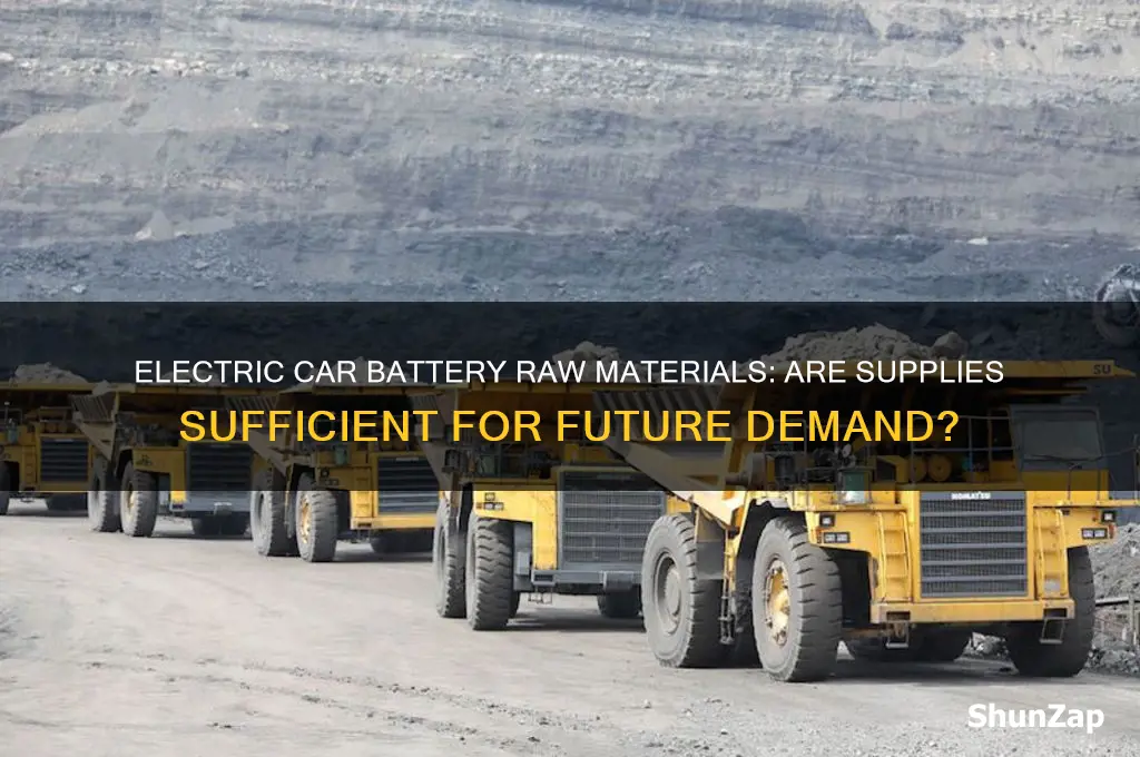 is there enough raw material for electric car batteries
