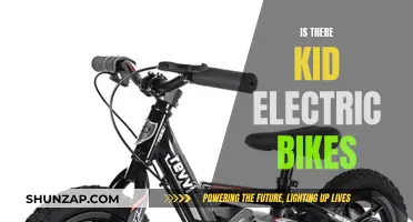 Electric Bikes for Kids: Are They Worth the Investment?