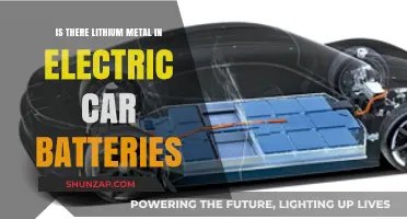 Do Electric Car Batteries Contain Lithium Metal? Unveiling the Truth