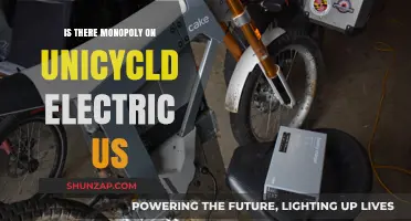 Unicycle Electric Market: Monopoly or Competition?
