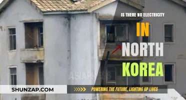 The Darkened Hermit Kingdom: North Korea's Electricity Mystery