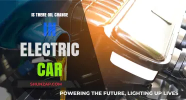 Do Electric Cars Need Oil Changes? The Truth Revealed