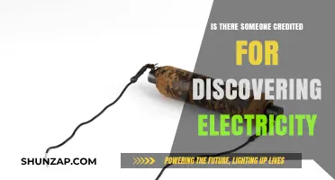 Who First Harnessed the Power of Electricity?