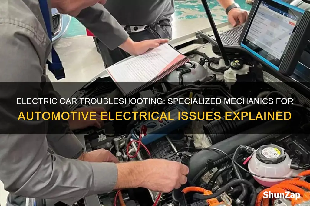 is there special mecanic for electric problem in a car