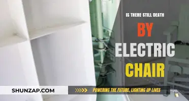 Electric Chair Executions: Are They Still Happening?