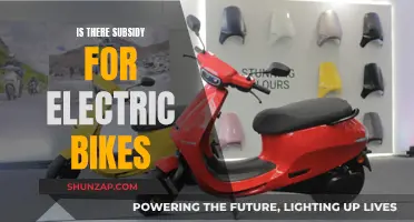 Electric Bike Subsidies: Who Qualifies and How Much?