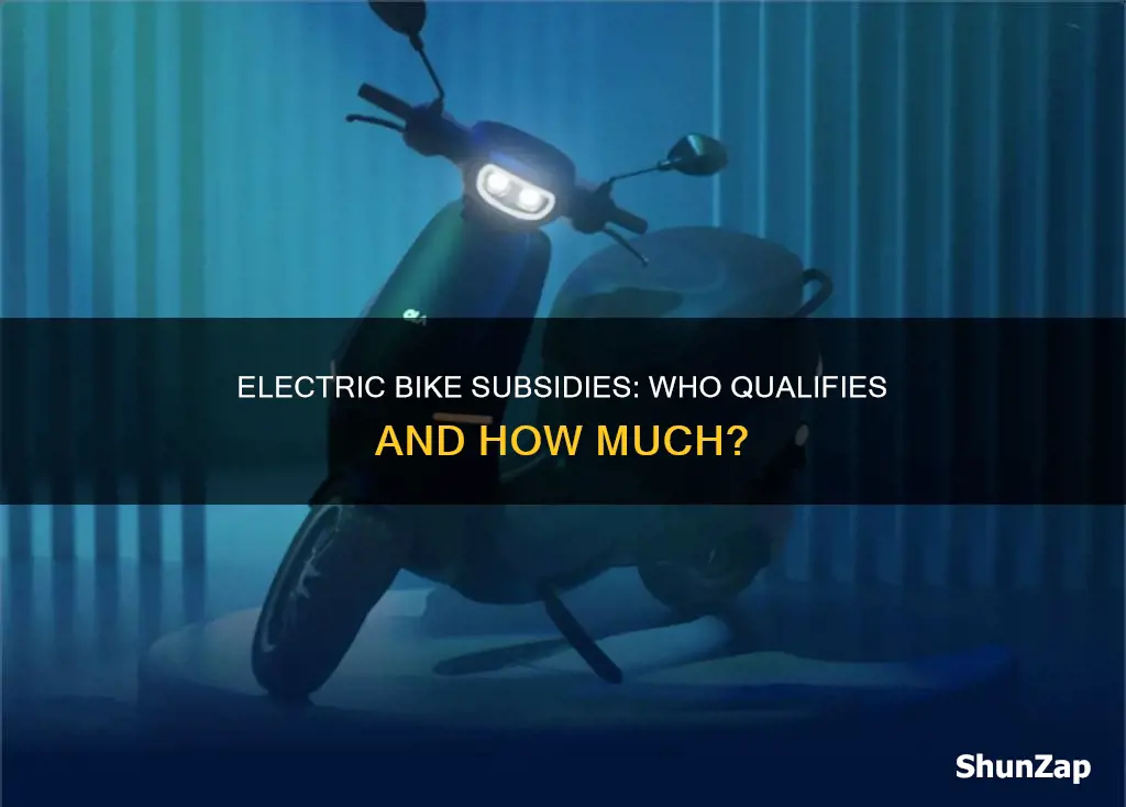 is there subsidy for electric bikes